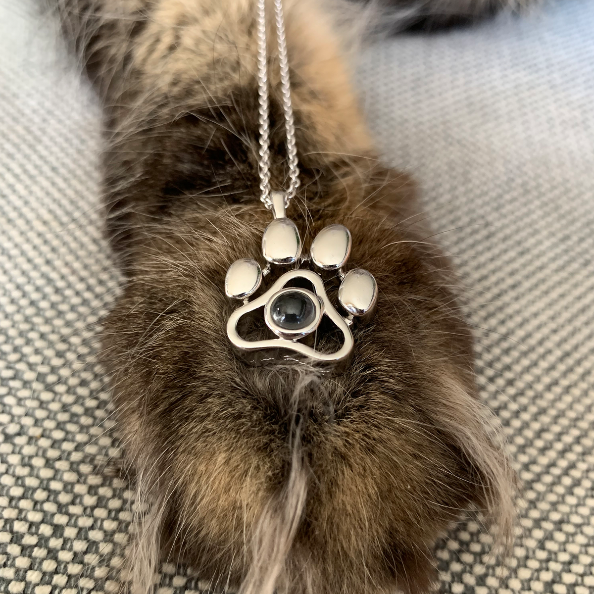 Collar personalizado con foto de tu perro
